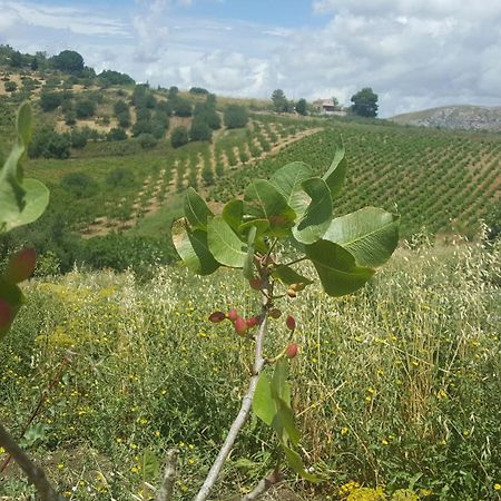 Agriturismo Gessi كالاتافيمي المظهر الخارجي الصورة